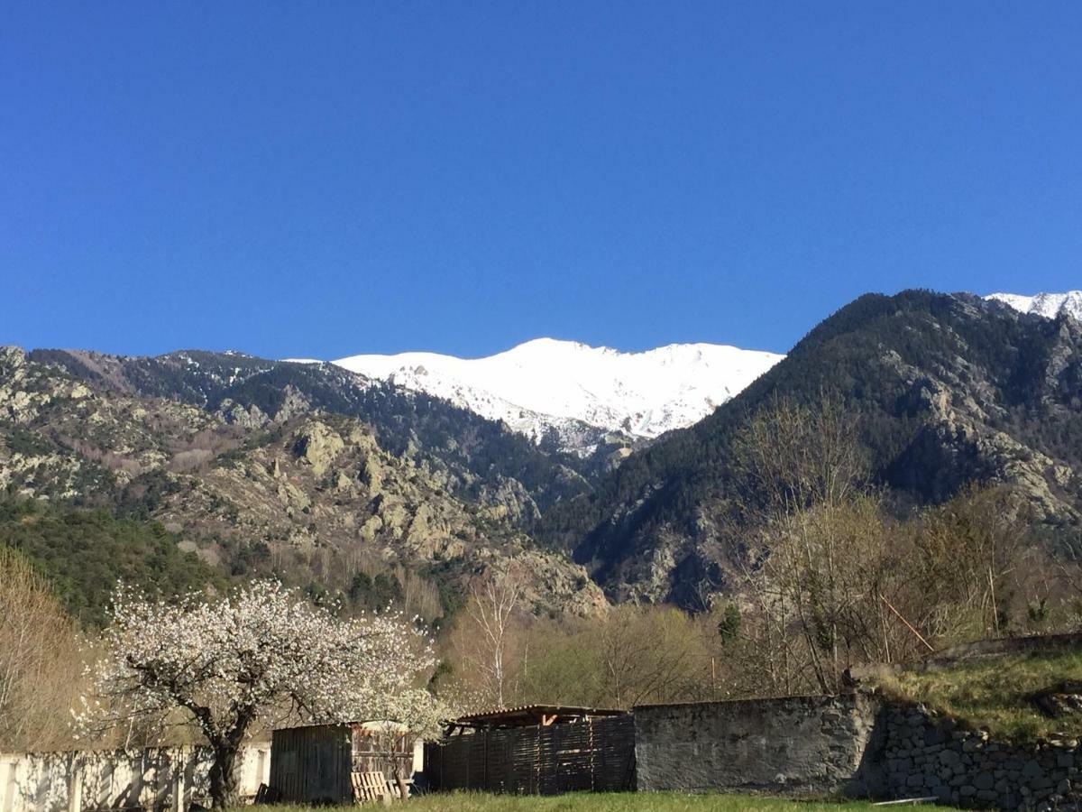 Sarl L'Alzina Villa Vernet-les-Bains Eksteriør billede